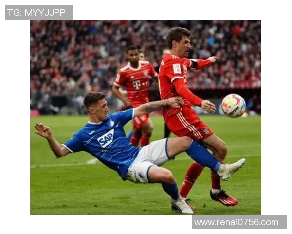 霍芬海姆与柏林联合比赛数据深度分析与战术对比探讨